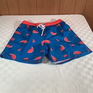Blue Watermelon Print Swim Trunks